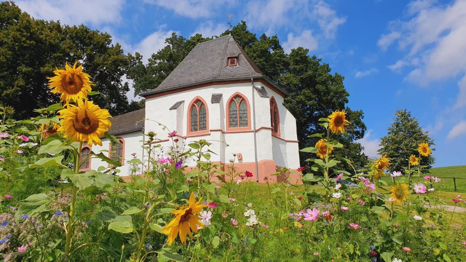 Ferienhaus Deine Zeit Mit Sauna Und Wallbox Nettersheim Dış mekan fotoğraf